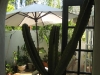 FrontPatio
